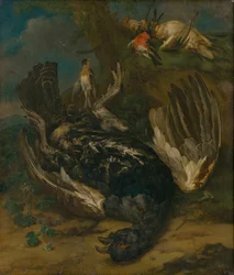 Stillleben mit Auerhahn